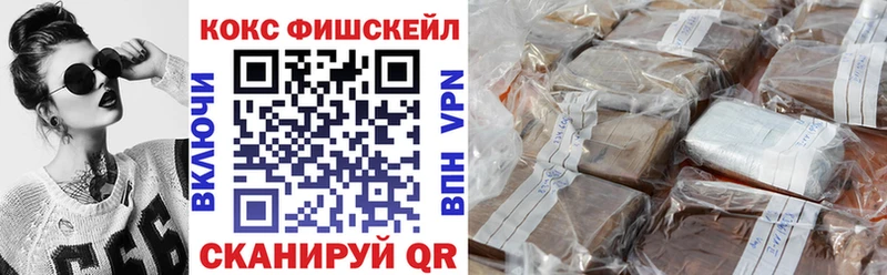 Кокаин FishScale  купить наркотики цена  Спас-Деменск 