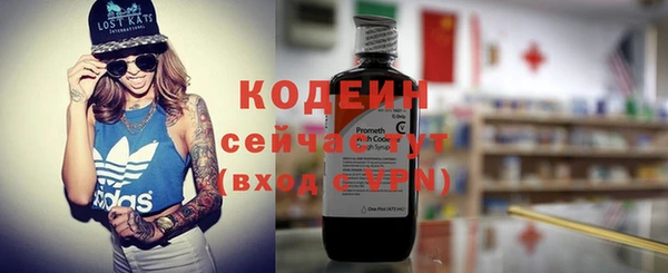 гидра Арсеньев