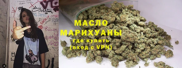 гидра Арсеньев