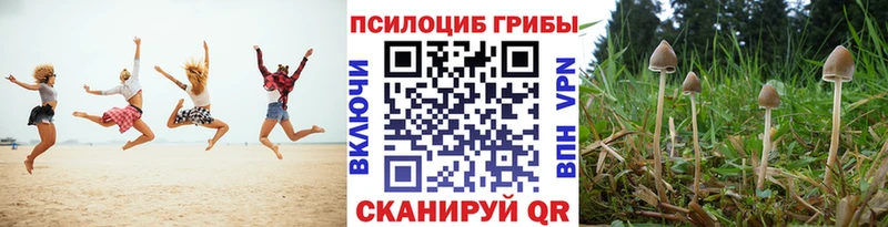 blacksprut зеркало Спас-Деменск Псилоцибиновые грибы мухоморы